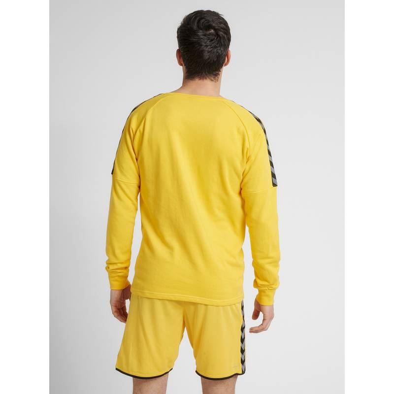 hummel hmlAUTHENTIC TRAINING SWEAT Sweatshirt Herren