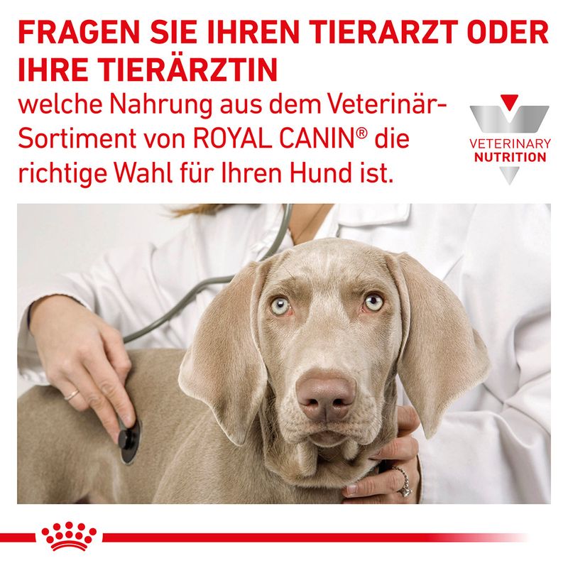 Royal Canin Veterinary Canine Gastrointestinal Low Fat Small Dog