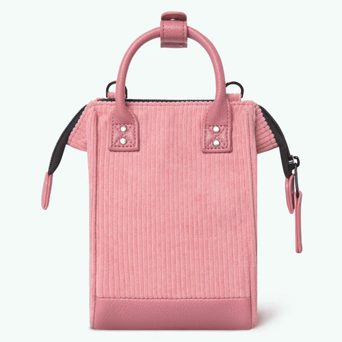 Nano Adventurer Gold Coast rose