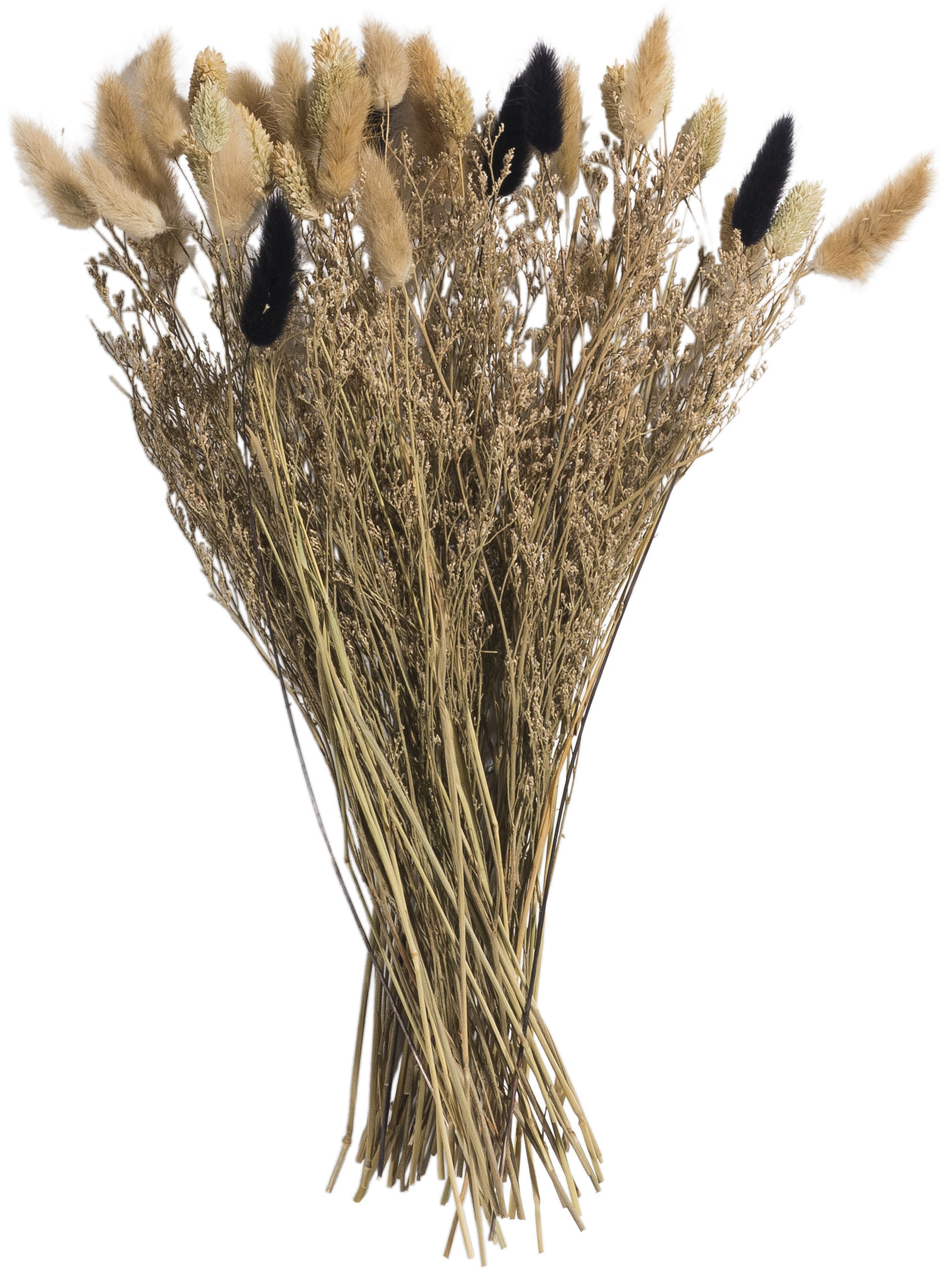 Flowerbouquet Trockenblume, Natural