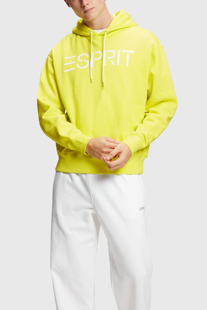 Logo-Hoodie