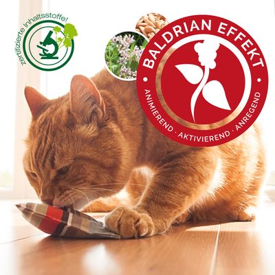 Aumüller Katzenspielzeug Baldriankissen Baldini