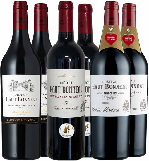 Montagne Saint Émilion Entdecker-Paket - Château Haut-Bonneau