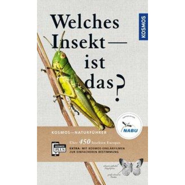 Welches Insekt ist das? - Sachbuch