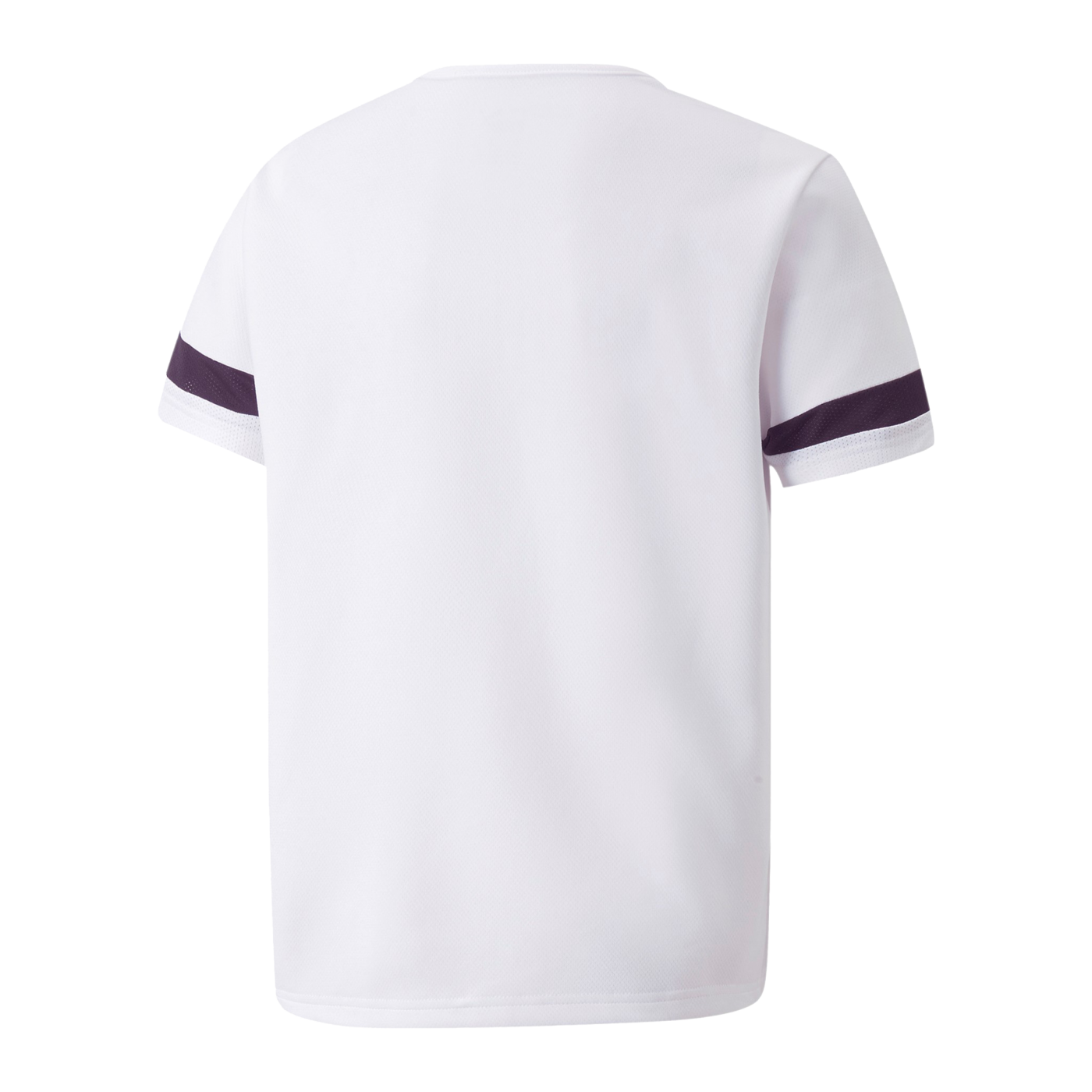 PUMA teamRISE Trikot Kids Weiss F04