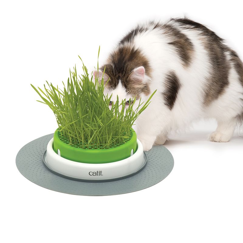 Catit Senses 2.0 Grastopf zu Discountpreisen % bei bitiba.de
