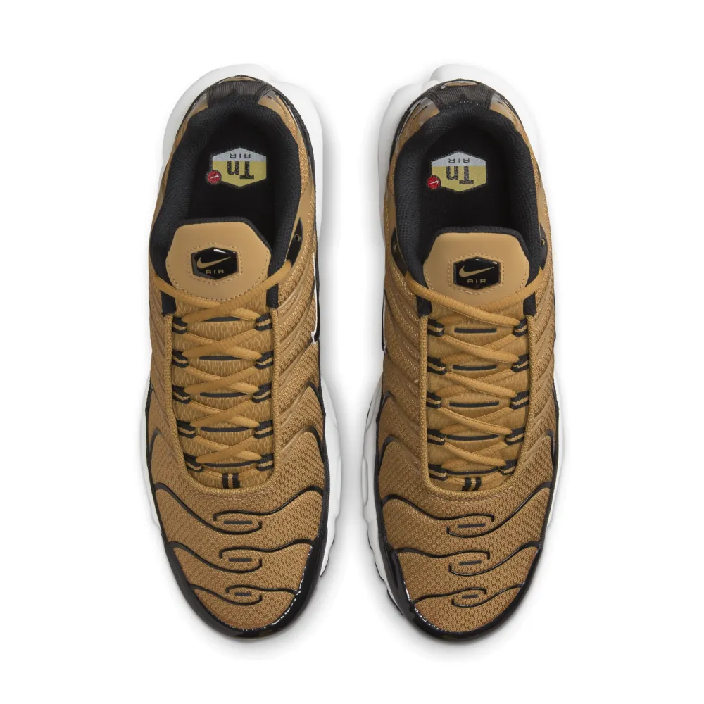 Nike Air Max Plus DM0032-700 / braun