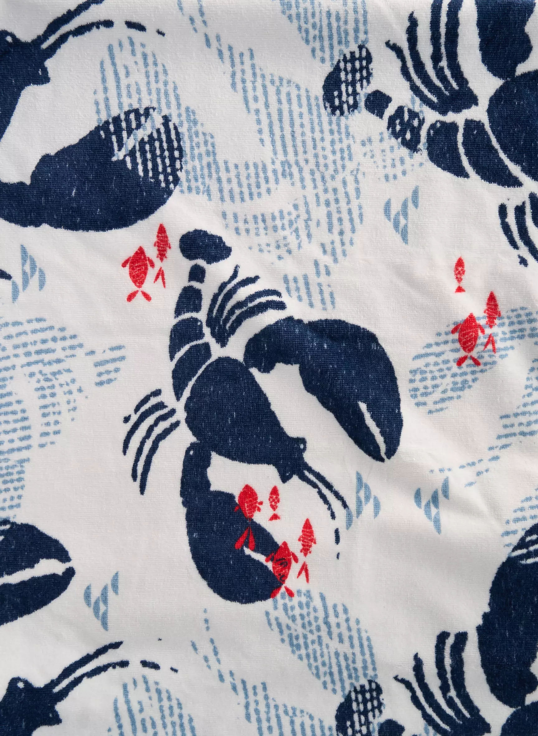 Catimini Drap De Bain Garcon couleur blanc