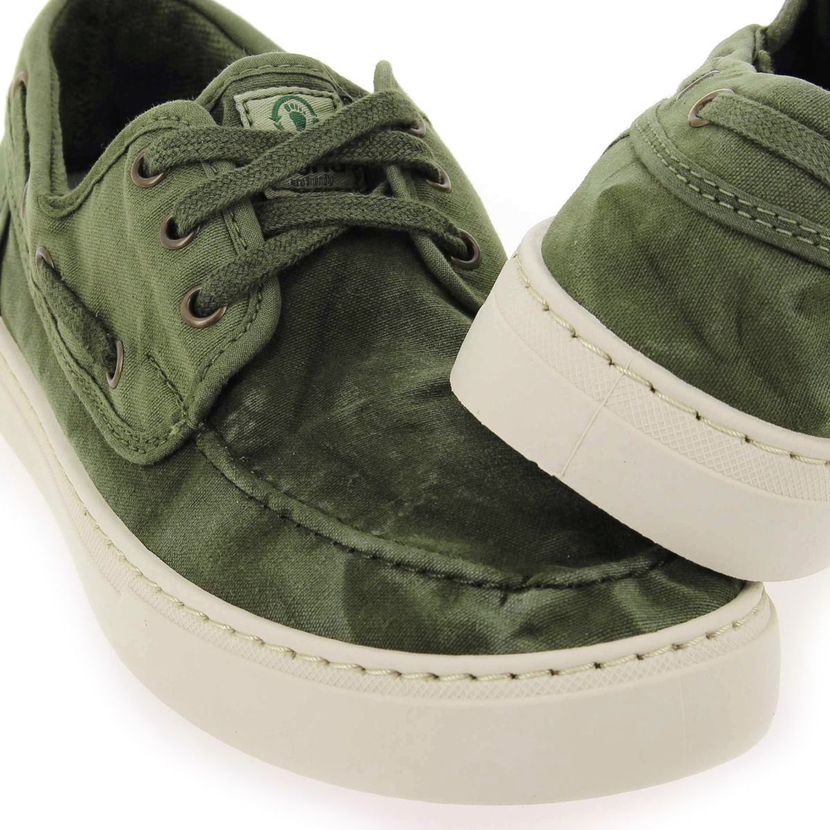 Natural world  6603E - Kaki