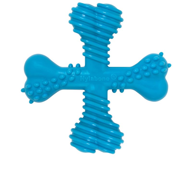 Nylabone Adult X-Bone Kauspielzeug zu TOP-Preisen