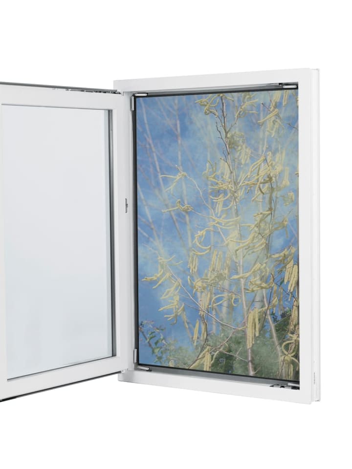HOBERG Fenster-Pollenschutz 150 x 130 cm Fliegengitten Moskitonetz günstig kaufen onesize