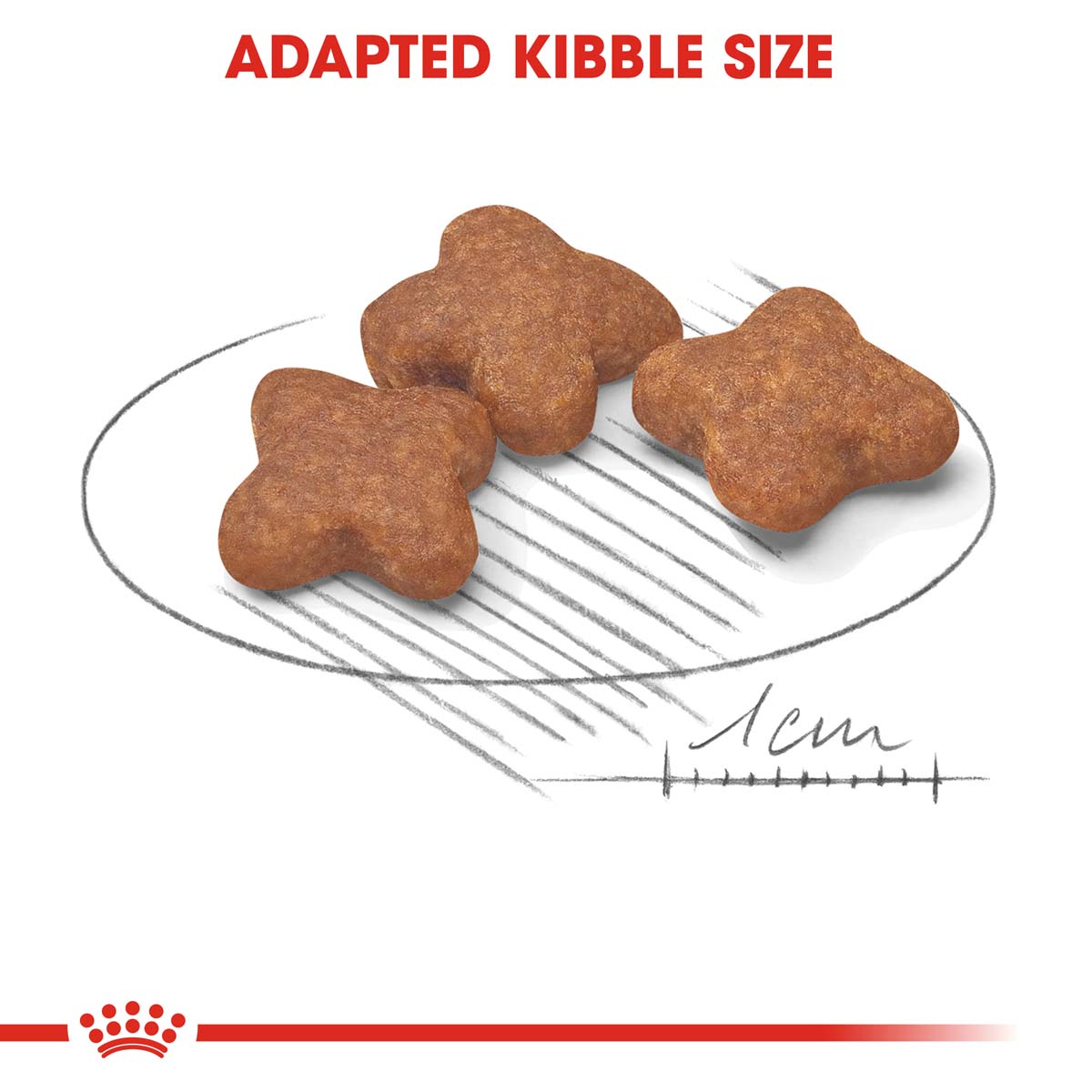 Royal Canin Mini Adult 8+ 2x8kg günstig kaufen bei ZooRoyal