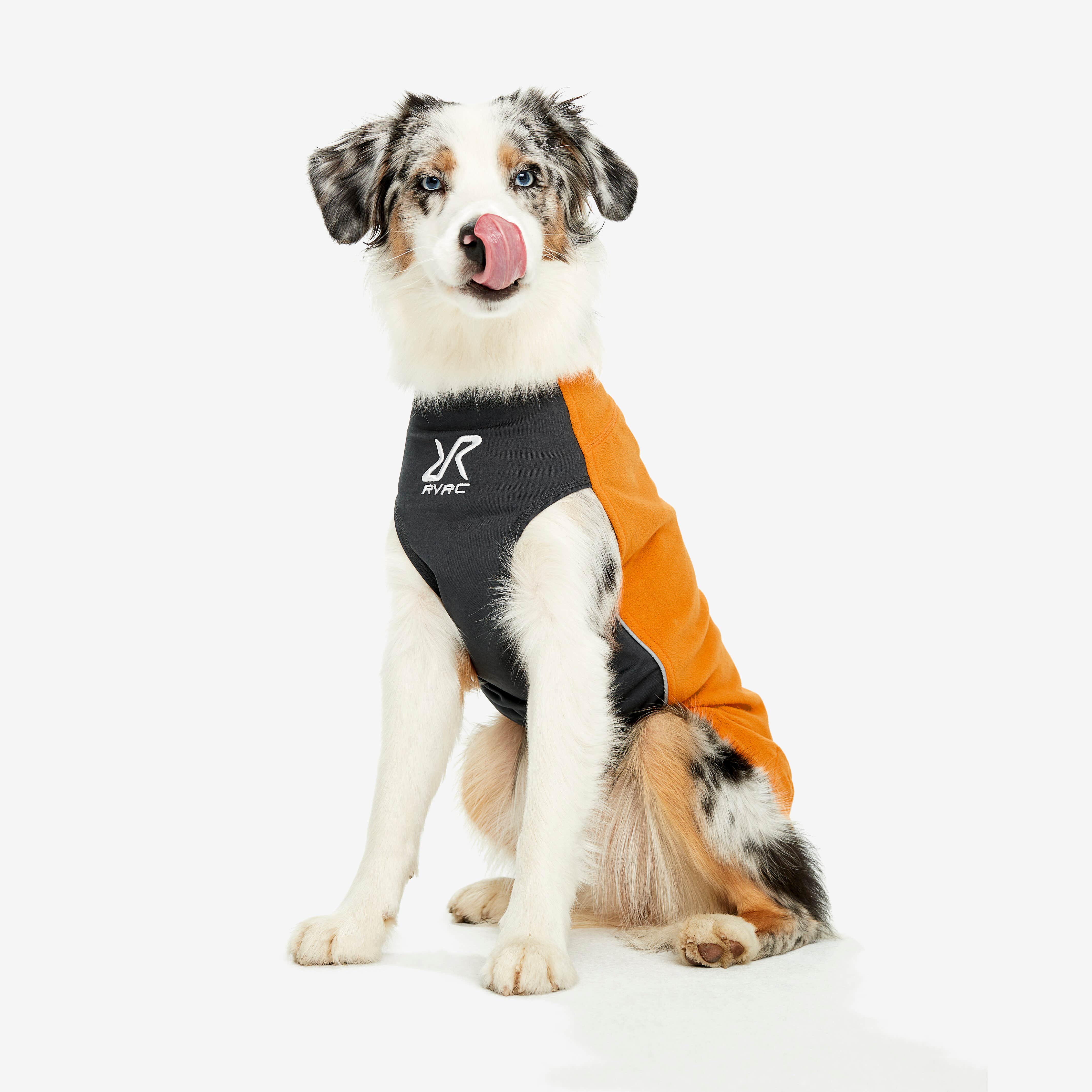 Trekker Fleece Chien Radiant Yellow