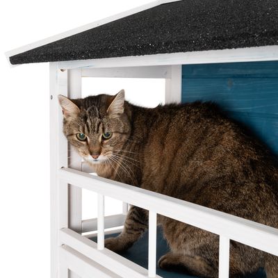 Katzenhaus Penthouse