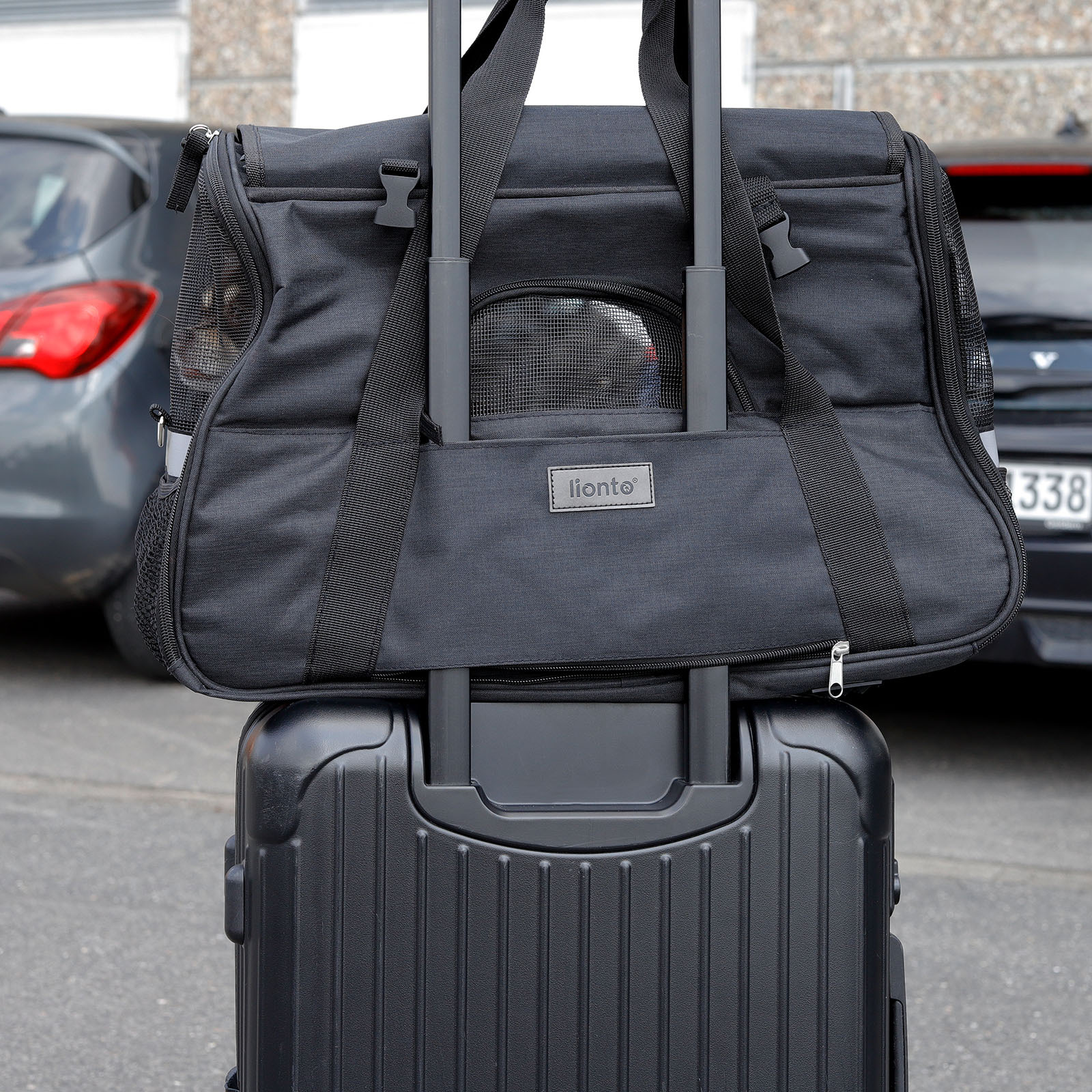 Lionto Tragetaschen Lionto Transporttasche für Hunde & Katzen schwarz