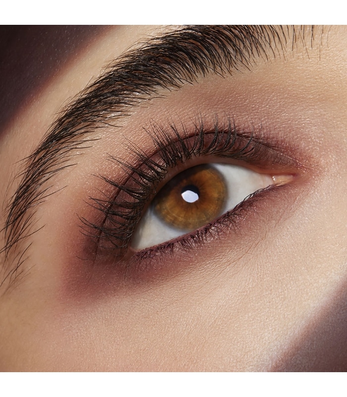 Estée Lauder-PURE COLOR ENVY-Ombres à Paupières Sculptantes