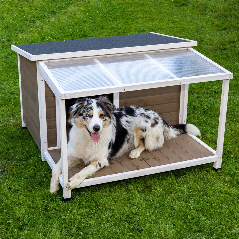 Hundehütte Doug zu TOP-Preisen
