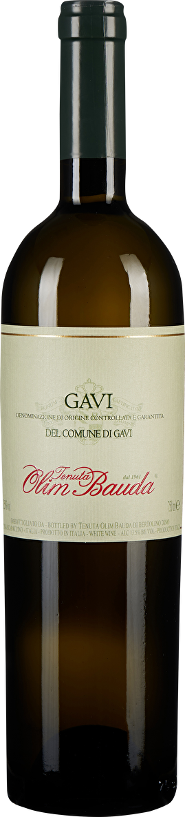 Olim Bauda Gavi 2022
