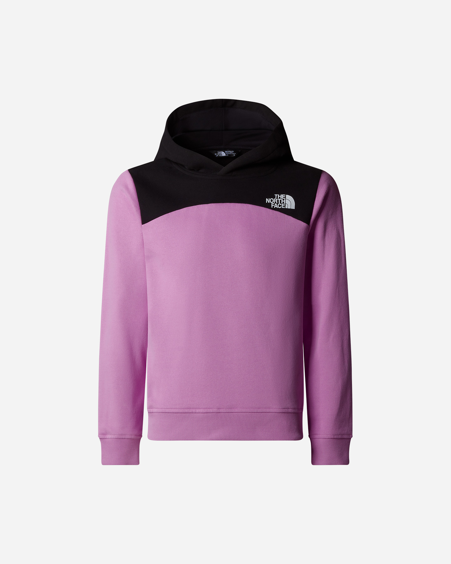 Logo Felpa The North Face na plecach Relaxed Jr NF0A89HC1I81