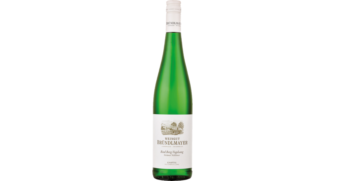 Berg Vogelsang