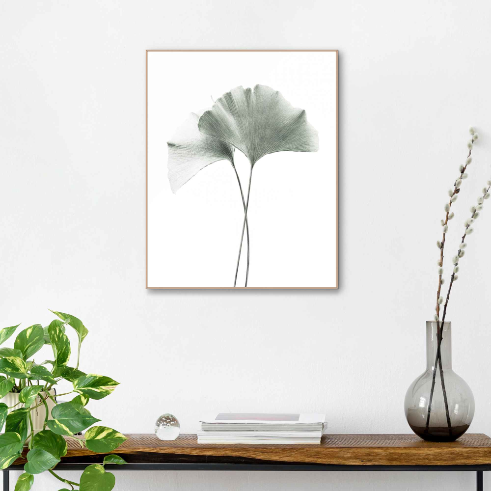 Rahmenbild Gingko