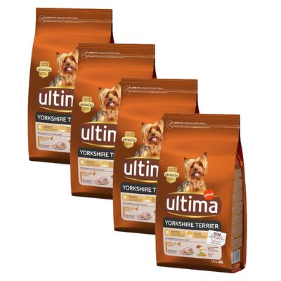 Ultima Yorkshire Terrier Adult Huhn