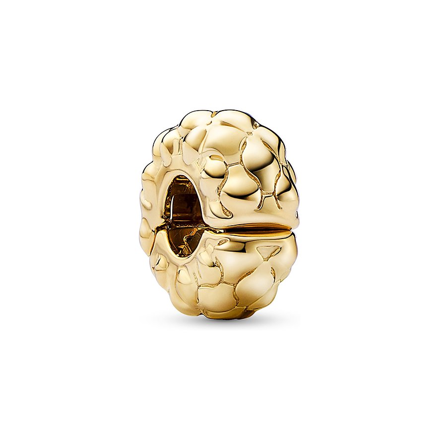 Pandora Charm Moments