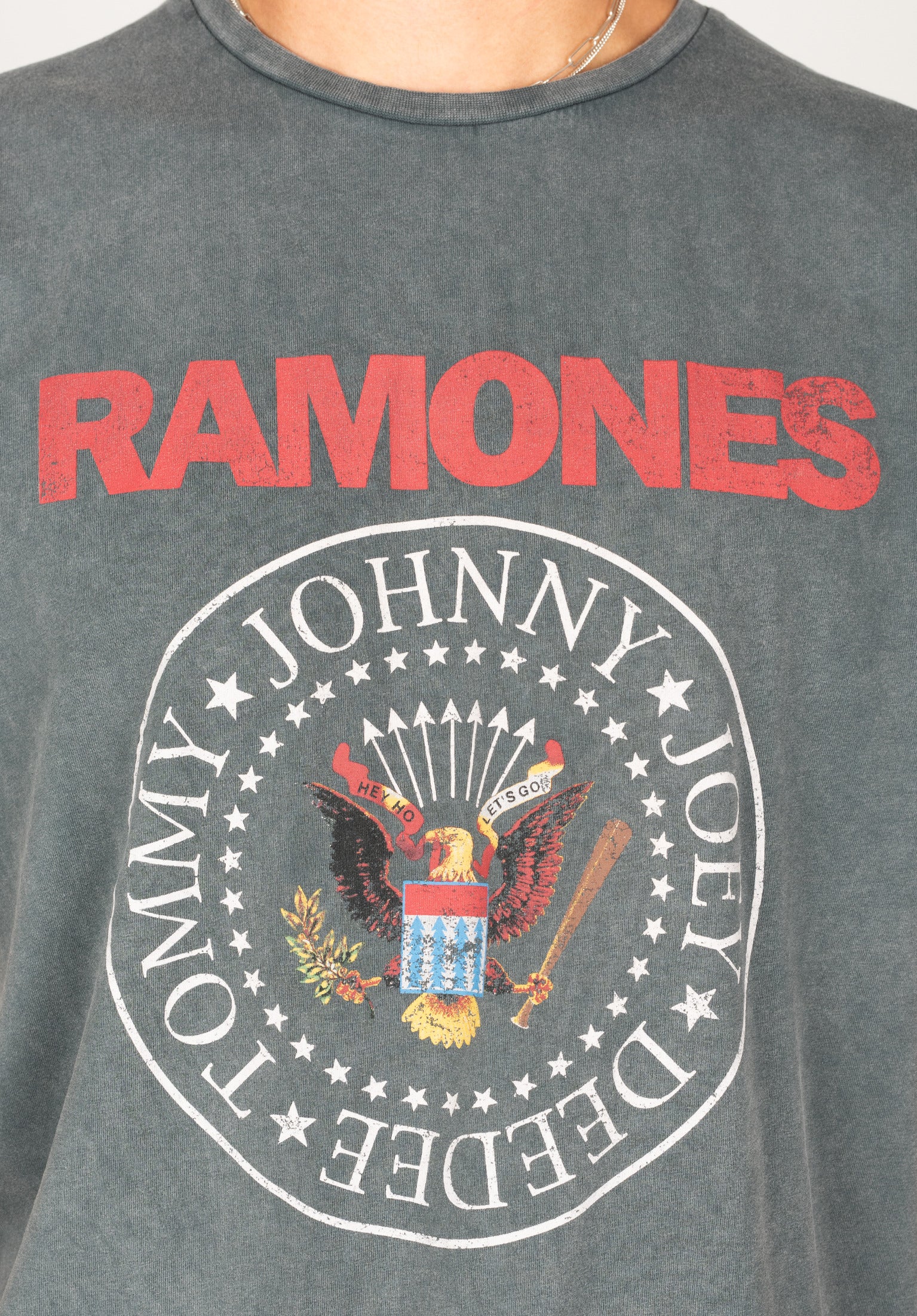 Ramones Logo Print