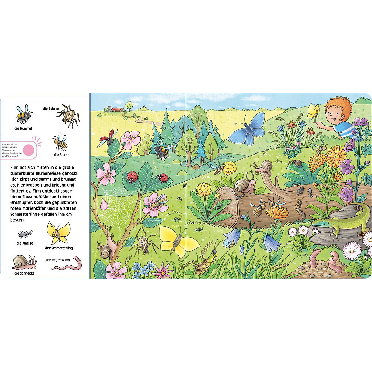 Hör mal (Soundbuch): Wimmelbuch: Wald und Wiese