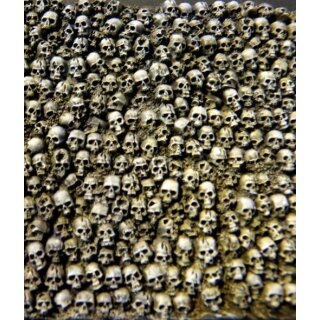 Stacked Skull Plates - Crunch Times!