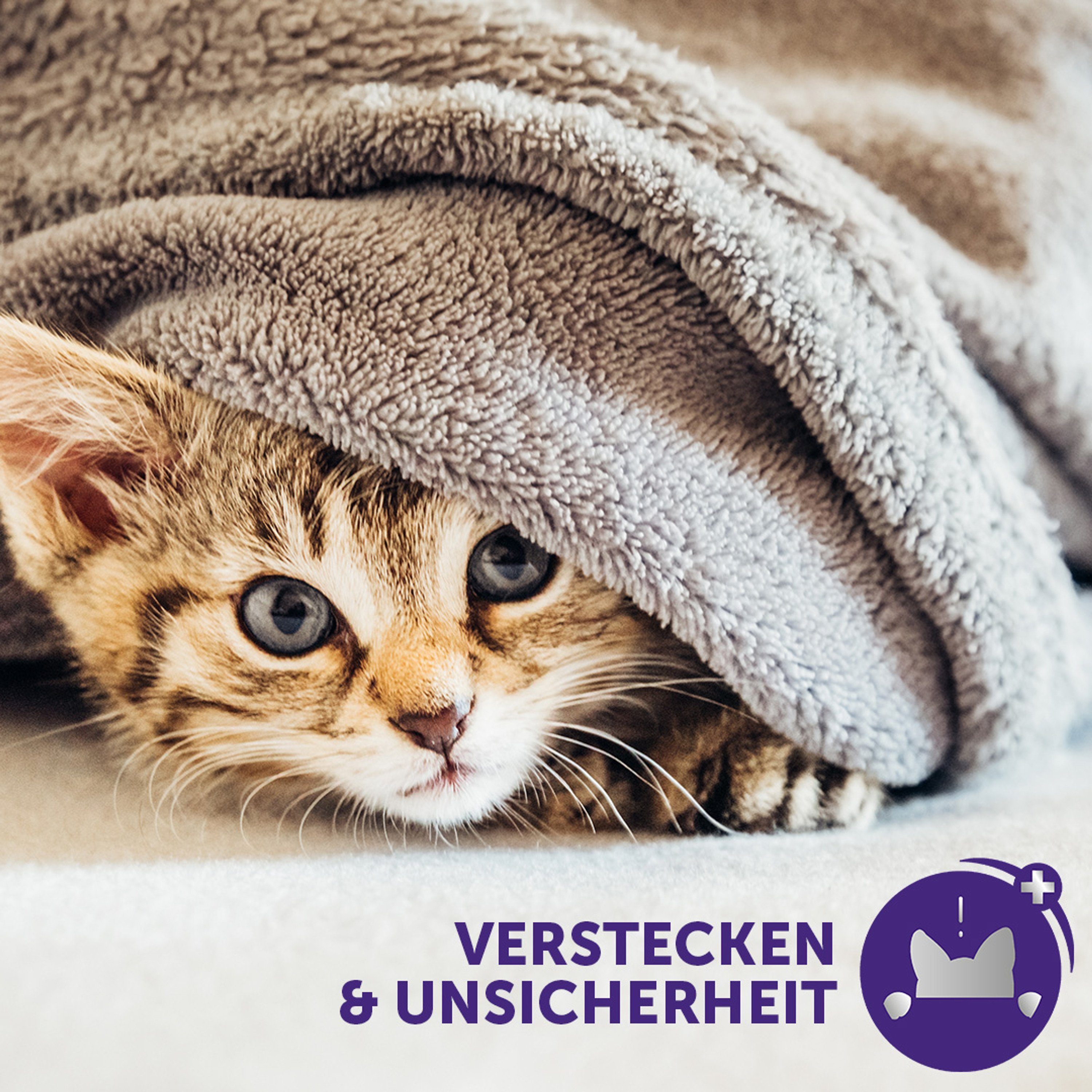 Feliway Katzenstreu FELIWAY® Optimum Verdampfer + 30 Tage Nachfüllflakon 48ml – für noch ausgeglichenere Katzen