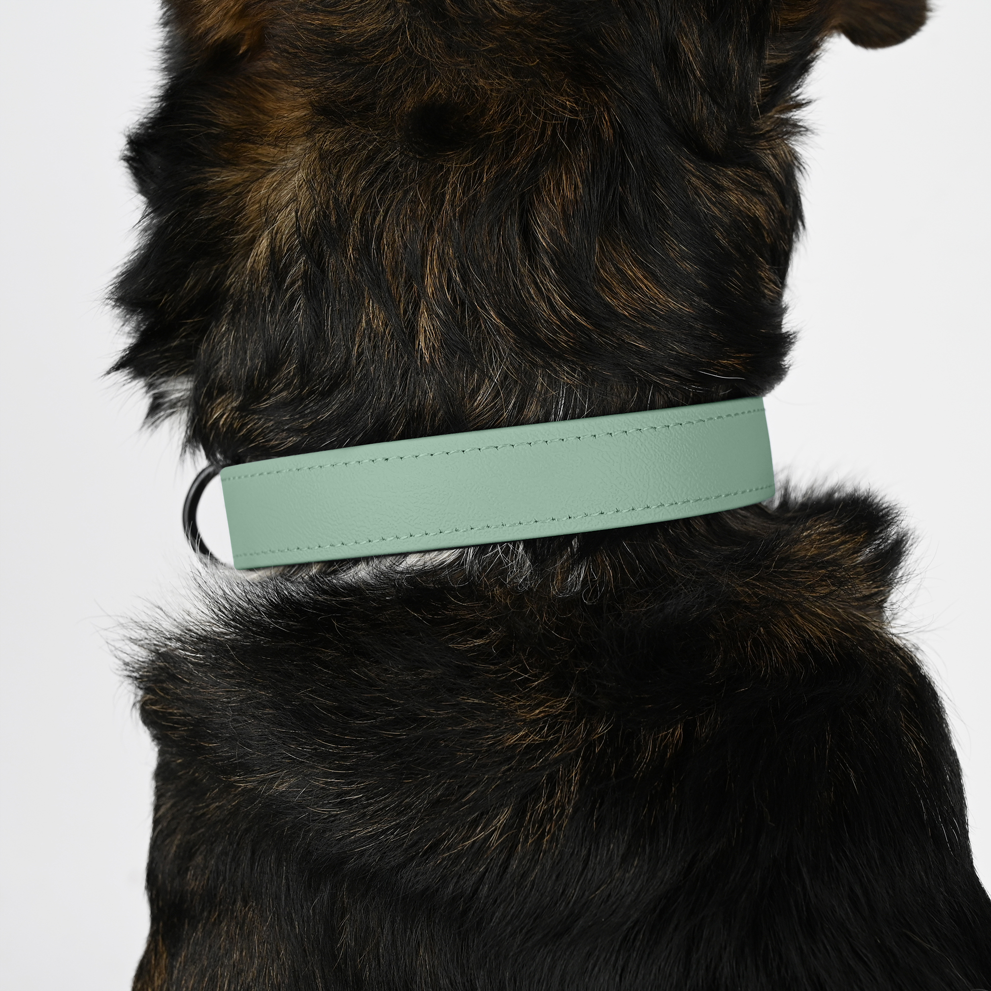 THE DOG IDEA Hundehalsbänder THE DOG IDEA Zugstopp Halsband Sage XL