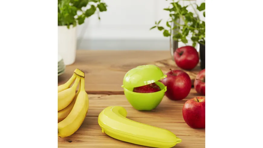rotho Snackbox Apfel Fun