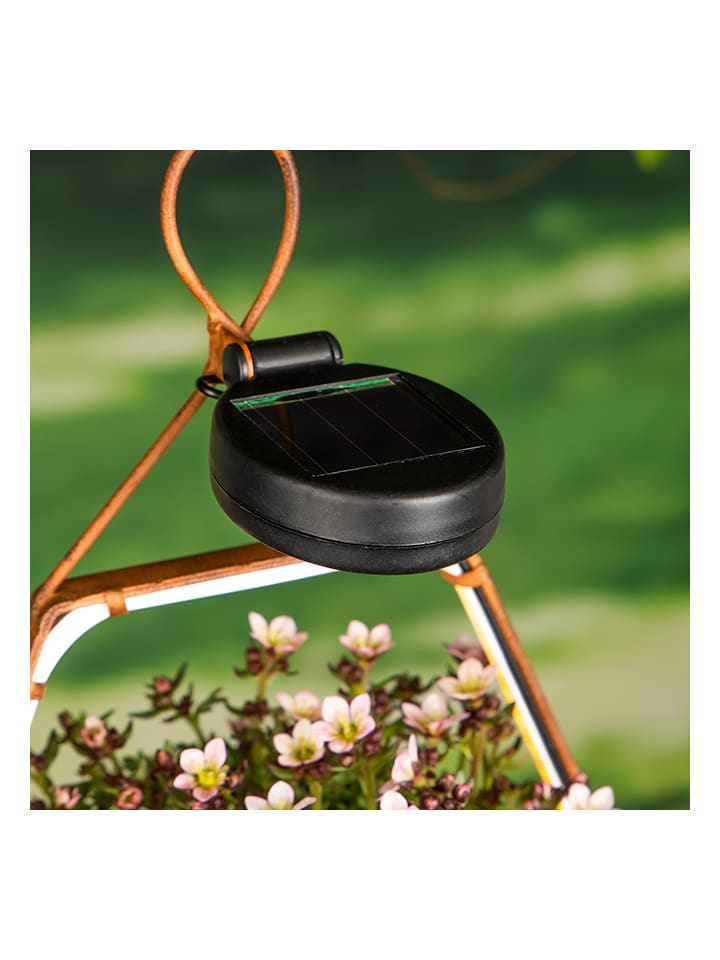 Garden Hero LED-Solar-Hängeleuchte in Hellbraun - (B)34,7 x (H)19,8 x (T)10,8 cm günstig kaufen onesize