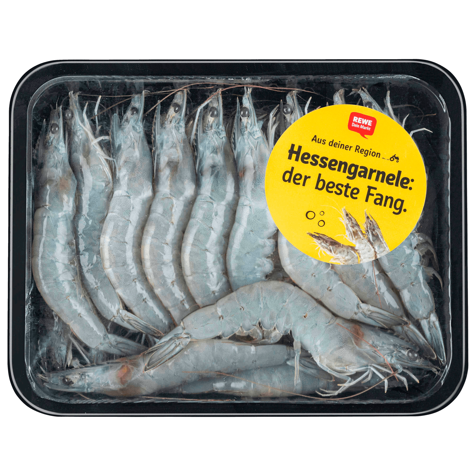 Aquakultur Hessengarnele 500g