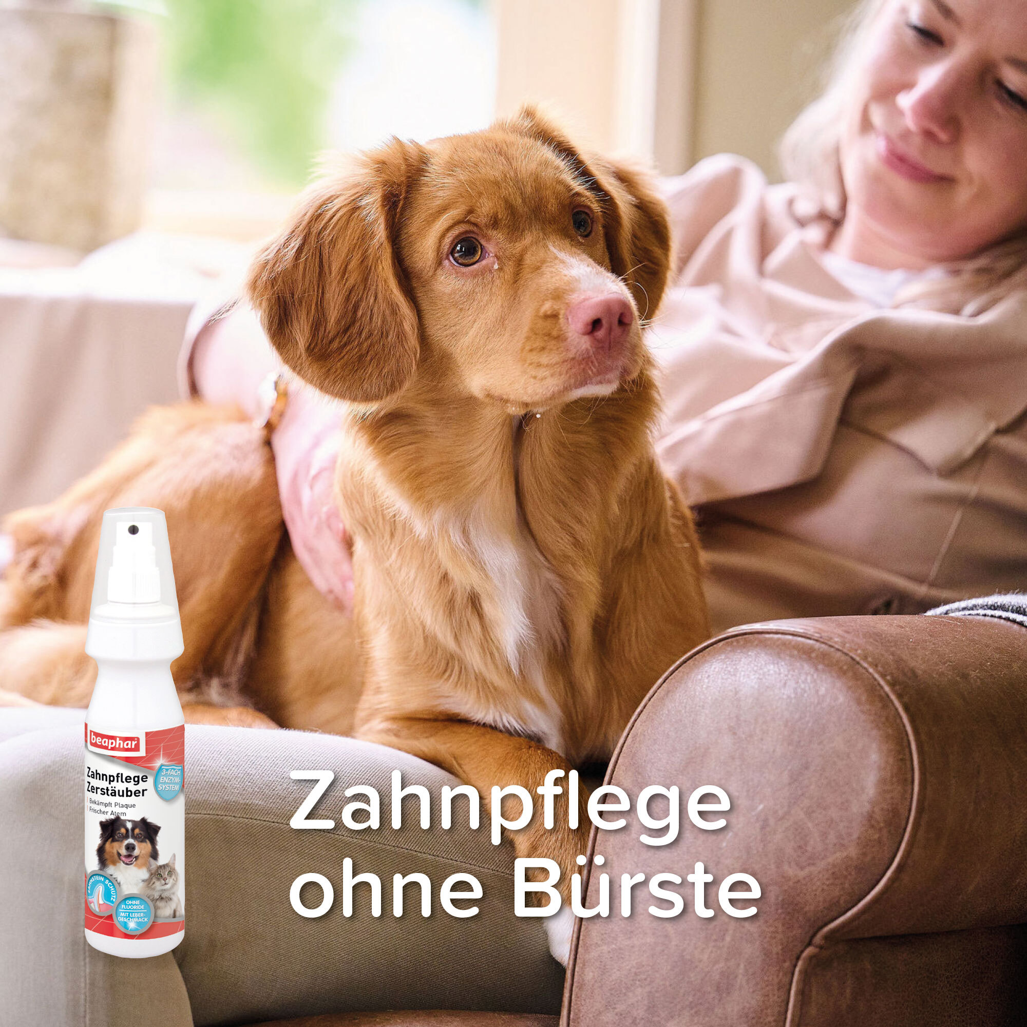 Beaphar Zahnpflege Beaphar Zahnpflege Zerstäuber Spray 150 ml