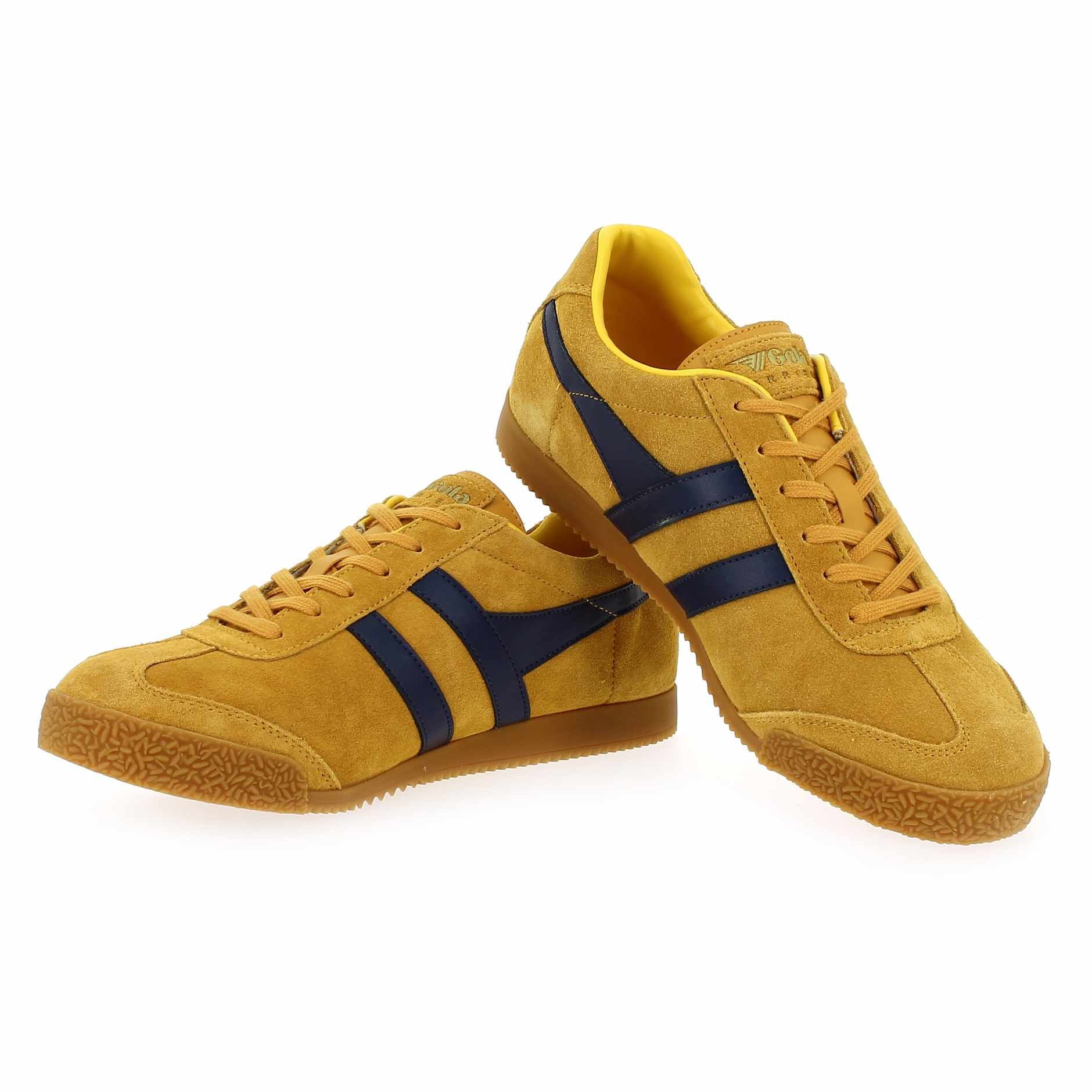 Gola  HARRIER - Jaune Marine