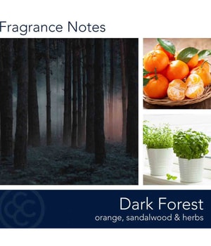Colonial Candle Signature Dark Forest Duftkerze-425 g