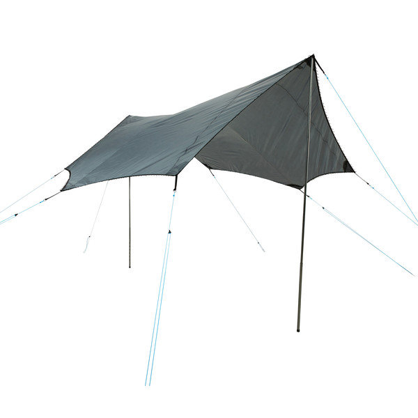 DAWN L TARP