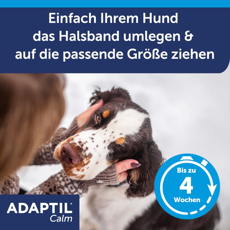 ADAPTIL Calm Halsband für Hunde zu TOP-Preisen