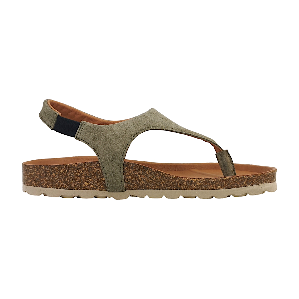 Verbenas Reagan 3301090001 Grün Khaki