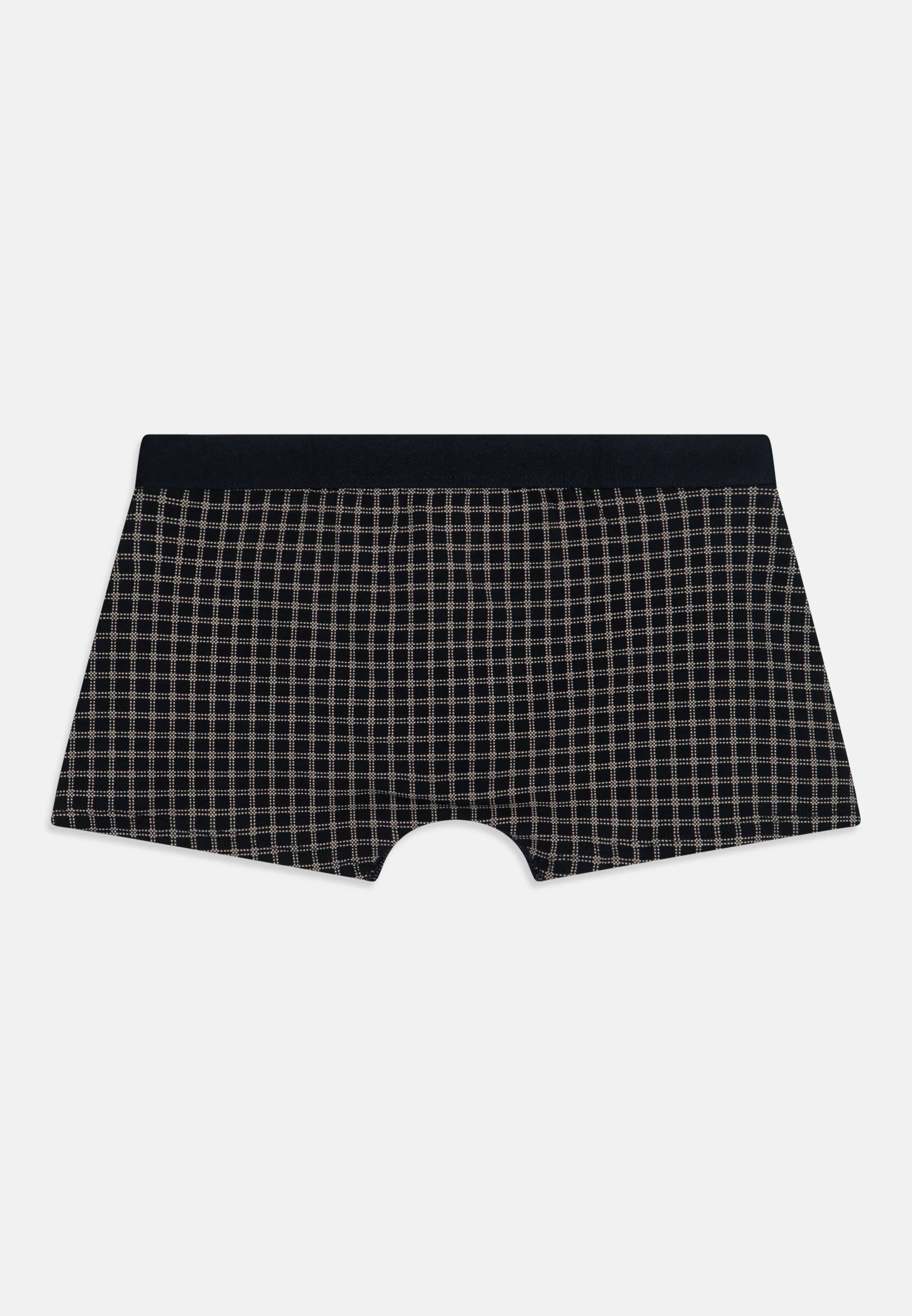 Tommy Hilfiger TRUNK PRINT PACK DE 2 - Culotte