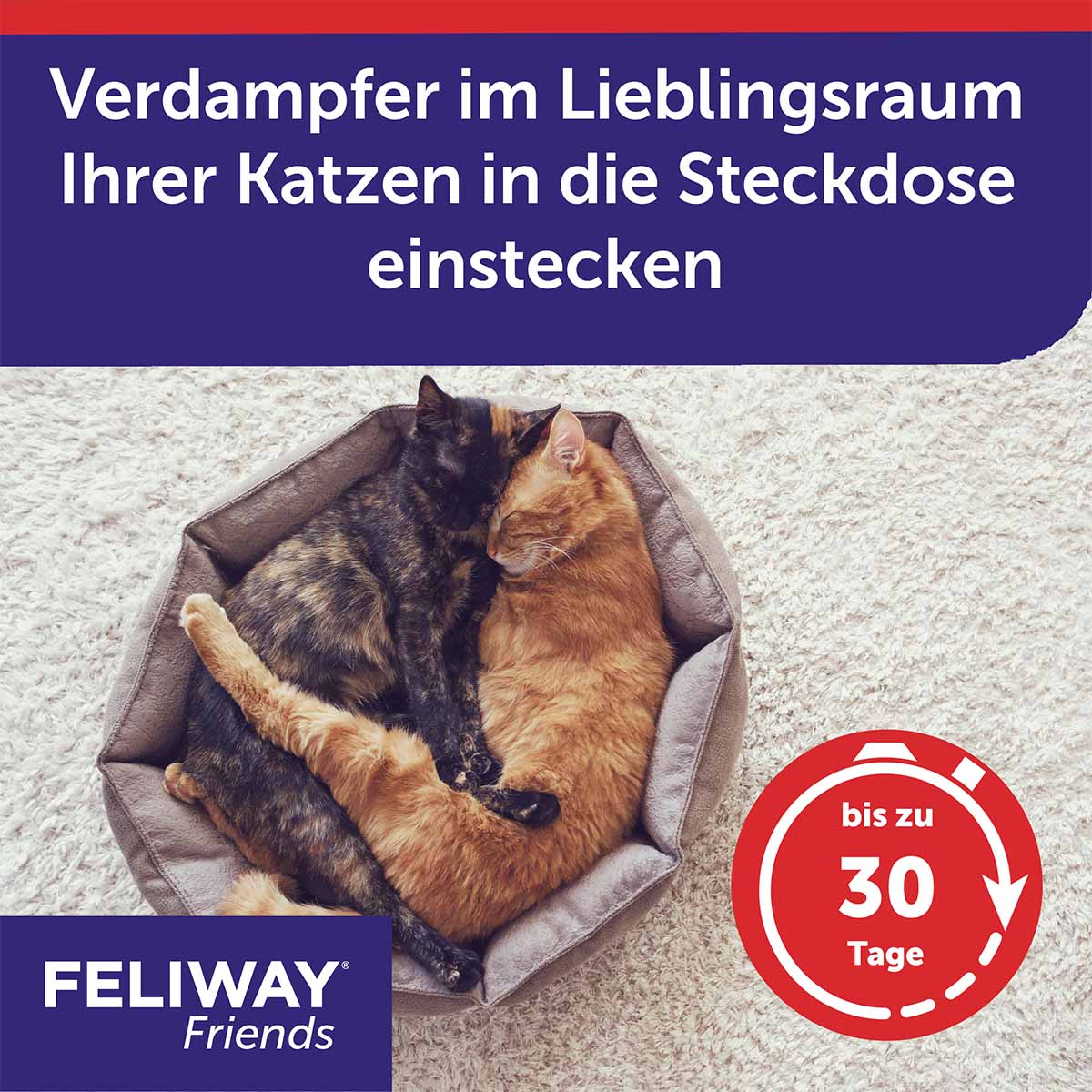 Feliway Friends 30-Tage Nachfüllflakon kaufen