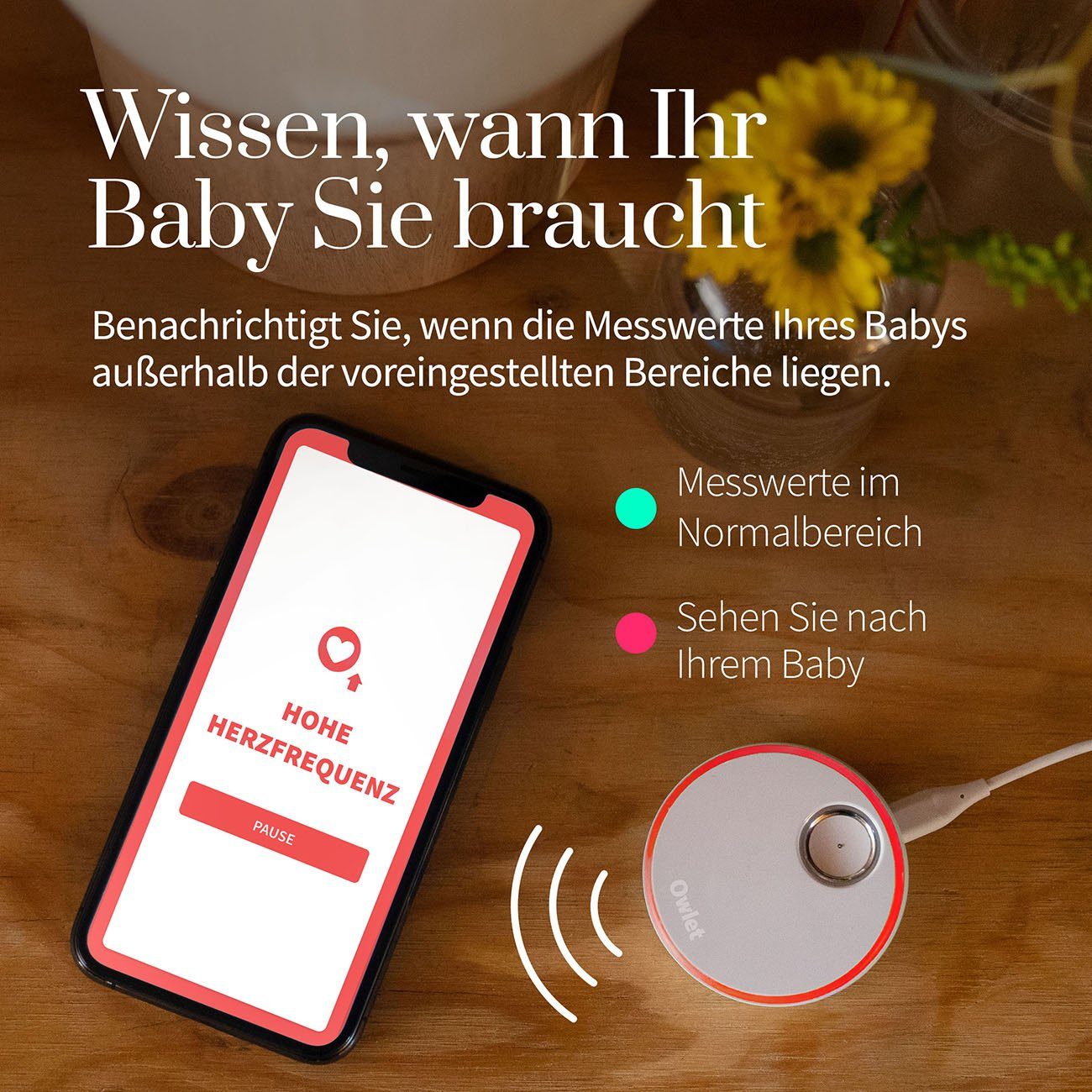 Owlet Baby Care DE Babyphone, Smart Sock, Tracking von Schlaf und Herzfrequenz via App