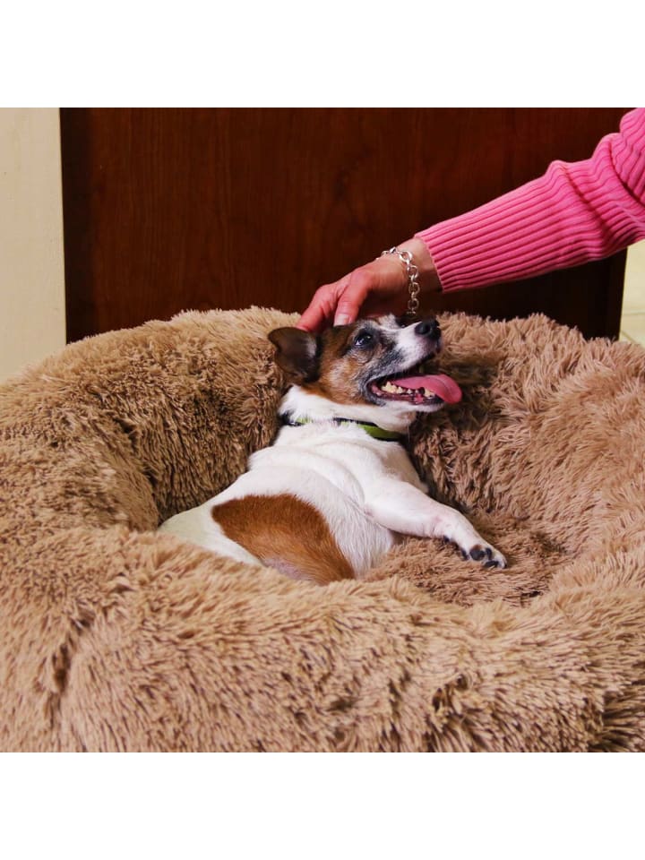 MediaShop Hundebett Peaceful Pooch S in Ohne Farben günstig kaufen onesize