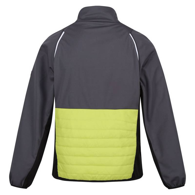 Regatta Steren Funktionsjacke Herren