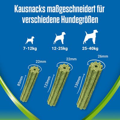 PURINA Dentalife Active Fresh Tägliche Zahnpflege-Snacks für große Hunde