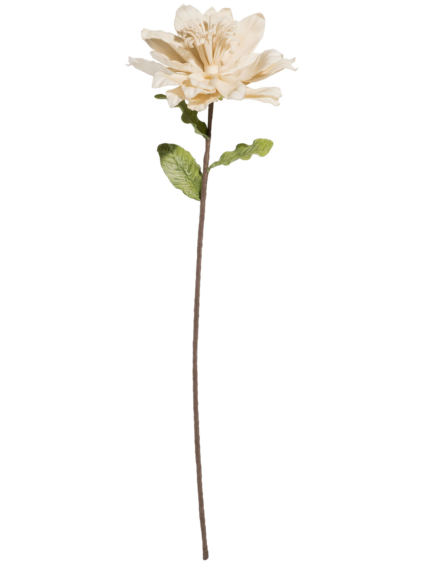 Softflower Kunstblume, Hellbeige