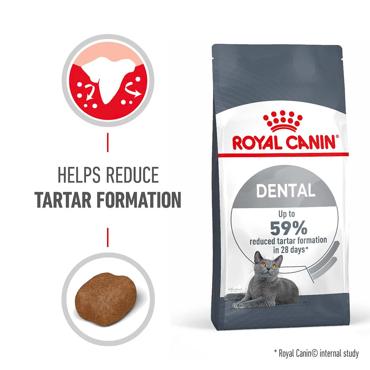 Royal Canin FCN Dental Care günstig kaufen