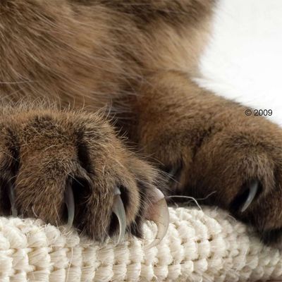 Trixie Sisal-Kratzbrett